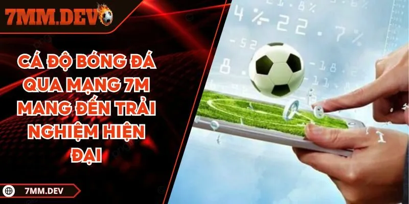 Cá độ bóng đá qua mạng