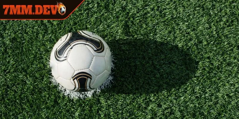 Chọn lựa chọn có tỷ lệ cược phù hợp