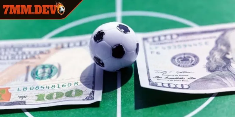 Soi kèo và phân tích dữ liệu trước khi đặt cược